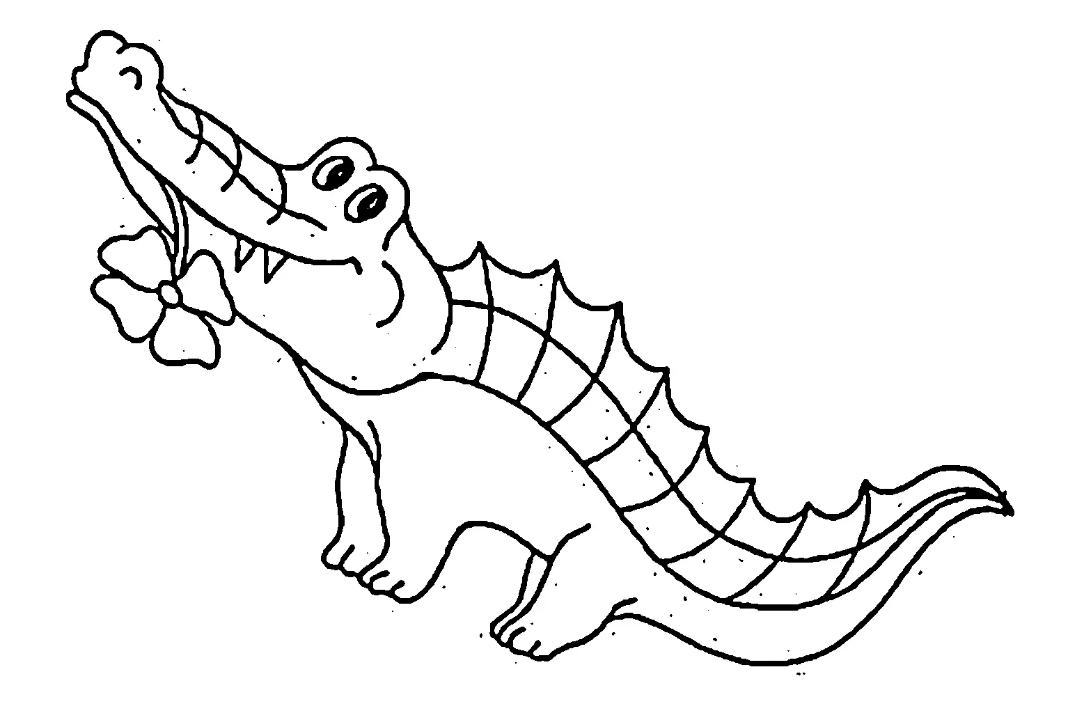 buaya Black and white pictures coloring book 026